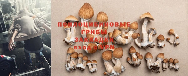 марки nbome Богданович